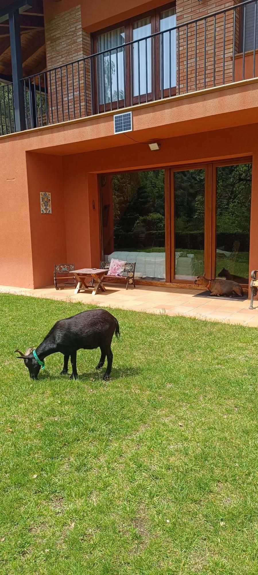 Ca La Montse Viladrau Exterior foto