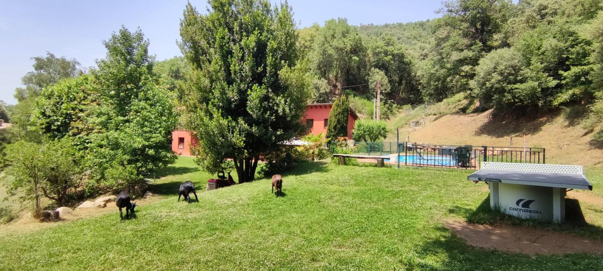 Ca La Montse Viladrau Exterior foto